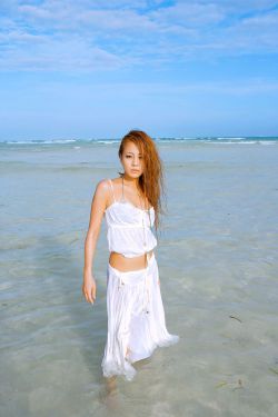 夫妻请部长家里做客