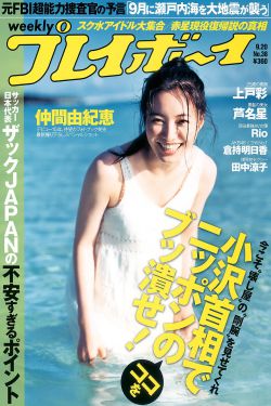 大境门电视剧
